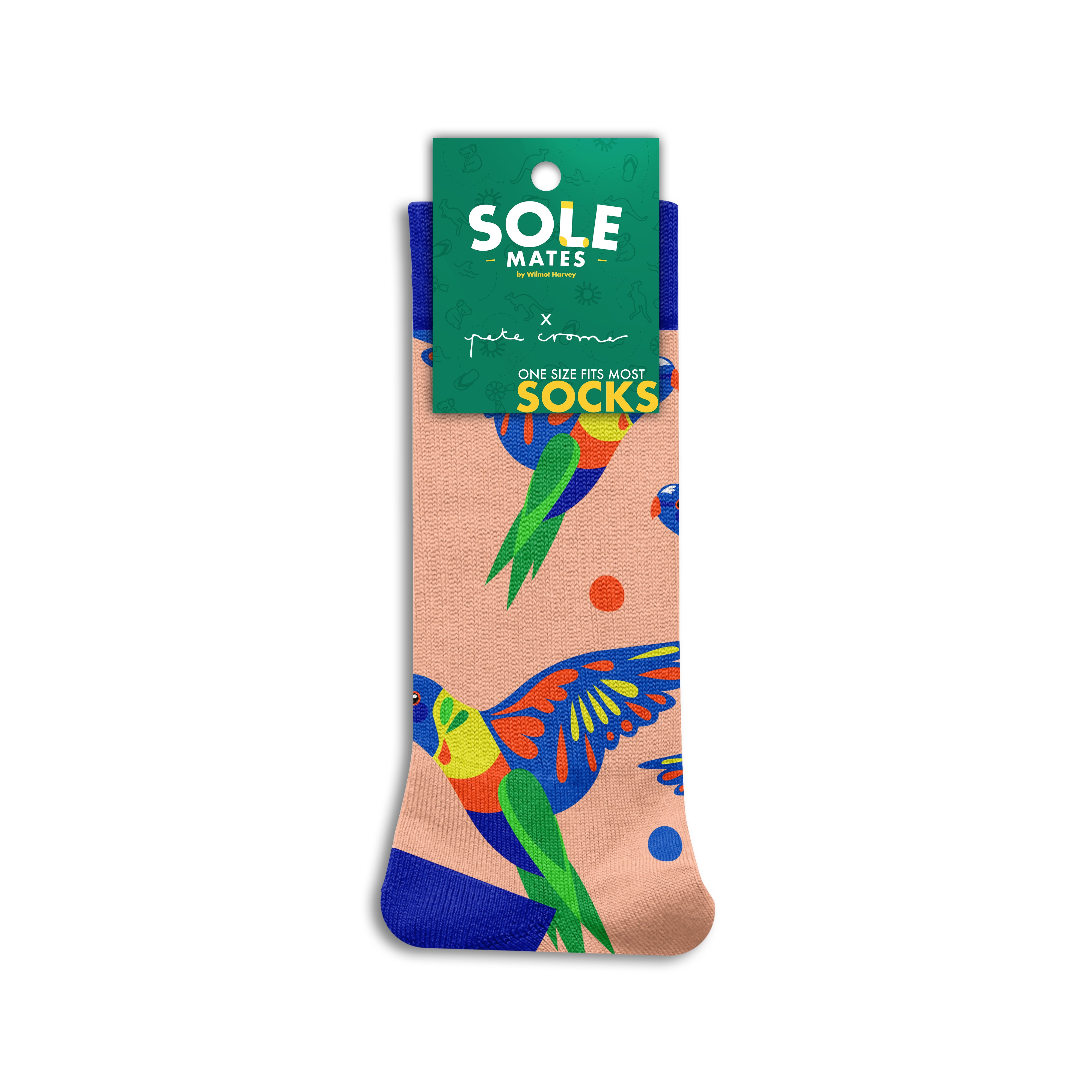 Pete Cromer x Sole Mates Socks - Rainbow Lorikeet - Wilmot Harvey